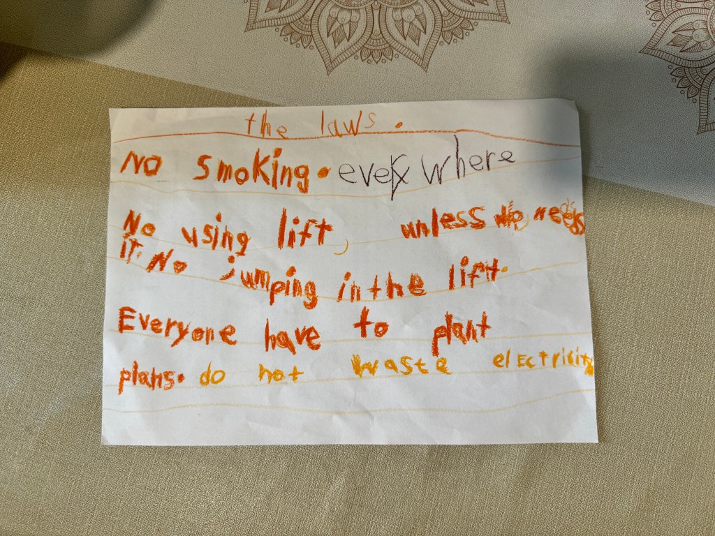 Introduction to nation&nbsp;shaping